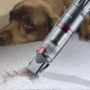 A handheld vacuum cleaner is shown cleaning pet hair off a carpet, with a brown dog in the background. Produktbild-Vorschau