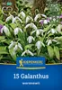 Kiepenkerl Schneeglöckchen Galanthus woronowii 15 Zwiebeln Produktbild-Vorschau 1