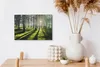 MuchoWow® - Leinwandbilder - Bäume - Natur - Wald, Produktbild-Vorschau 3