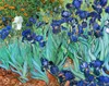 Legendarte - Kunstdruck auf Leinwand - Schwertlilien Produktbild-Vorschau 1