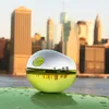 Donna Karan Dkny Be Delicious Edp Sp 30ml Be Delicious Voir les images du produit 5