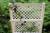 KHW Pflanzkasten 100 cm mit Zentralspalier, 100 x 43 x H Produktbild-Vorschau 7