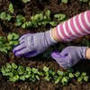 Guanti FLASH GRIP LAVENDER Lattice 8 Anteprima dell’immagine prodotto 2