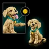 LEGO® Icons 11384 Golden Retriever Welpe Produktbild-Vorschau 7