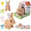 Batteria Bunny 117041 Mix Prezzo Per 1Pc Anteprima dell’immagine prodotto 2