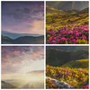 Bild auf Leinwand - Leinwandbild - Gebirge Wiese Landschaft Produktbild-Vorschau 8