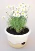 Plastia Mareta Blumenampel zum Aufhängen, 30 cm, Produktbild-Vorschau 10