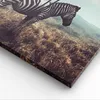 Bild auf Leinwand - Leinwandbild - Zebra Tier Wiese - Produktbild-Vorschau 5