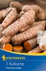 Kiepenkerl Gewürzpflanze Kurkuma Curcuma longa 1 Pflanze Produktbild-Vorschau 3