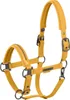 Eskadron Platinum Halfter " SOFTSHELL PEARLS DOUBLE PIN " , Produktbild-Vorschau 1
