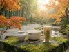 Darčeková súprava Matcha: miska, šľahačka Chasen, stojan a Náhľad obrázku produktu 4