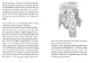 Die Ponys von Lillasund 4. Das Mittsommer-Turnier Produktbild-Vorschau 5