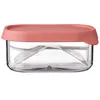 Mepal Fruchtbox Take a Break Mauve vif Voir les images du produit 1