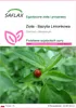 SAFLAX - Zioła - Bazylia Limonkowa - 200 Nasiona - Ocimum Podgląd zdjęcia produktu 1