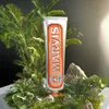 Marvis Dentifricio alla menta e zenzero 85ml Anteprima dell’immagine prodotto 14