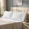 Federkissen-Set 2er 50x75 cm, Gänsedaunen-Füllung, Bio-Baumwolle Produktbild-Vorschau