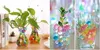Hydrogel Soil for Flowers Gélové guličky 25 000 ks Náhľad obrázku produktu 8