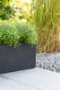 VIVANNO Blumenkasten Beton FLOBO Kasten, Anthrazit matt - Produktbild-Vorschau 5