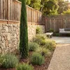 Cupressus Gartenpflanze, 100 cm hoch, 18 cm Produktbild-Vorschau 4