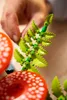 LEGO Botanicals Boschampignons - Kunstplantenset voor Productafbeelding-voorbeeld 11