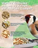 A bird is eating from a feeder filled with different types of peanuts, with text explaining the benefits of each type for birds. Produktbild-Vorschau