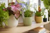 Blumentopf Elho Vibes Fold Kunststoff Ø 16,1 cm H 14,8 cm Produktbild-Vorschau 6