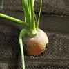 Jiubiaz Unkrautvlies Gartenvlies Schutzvlies Unkrautfolie Produktbild-Vorschau 5