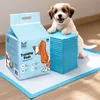 A puppy is posing next to a box of training pads and a stack of training pads. Náhľad obrázku produktu