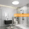 A modern bathroom with a ceiling light, vanity, toilet, and shower. Voir les images du produit