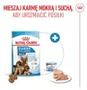 Pienso Royal Canin Maxi Starter Mutter & Babydo Aves 4 Kg Produktbild-Vorschau 11