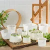 A collection of cheese molds and freshly made cheeses are arranged on a wooden board, with parsley and spices scattered around. A wooden cheese press is visible in the background. Produktbild-Vorschau