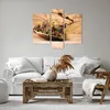 Bild auf Leinwand - Leinwandbild - Kraut Tee Bio Produktbild-Vorschau 6