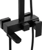 A close-up studio shot of a black shower faucet. Produktbild-Vorschau