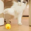 RAIKOU Power Smart Ball f??r Katzen,  interaktives Produktbild-Vorschau 2