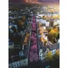 Bonn en fleurs Ravensburger 17104 Voir les images du produit 2