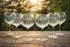 Lolea Sangria No.1 Stilglas Ballonglas – 6er Set Original Produktbild-Vorschau 1