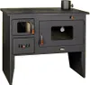 A black wood-burning stove with an oven and a metal plate on top. Náhled obrázku produktu