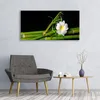 Glasbilder 120x60 Wandbild Druck auf Glas Bambus Blume Produktbild-Vorschau 3