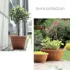 A collage of potted plants, one with a tree and another with flowering plants, next to a building and on a patio. Produktbild-Vorschau
