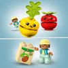 A collage of LEGO DUPLO figures interacting with toy fruits and vegetables, and a seedling block. Produktbild-Vorschau
