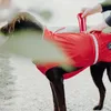 Hunter Hunde-Regenmantel Uppsala Rain, Größe:40, Farbe:rot Produktbild-Vorschau 11