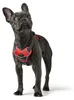 Imbracatura Hunter Divo, colore:rosso/grigio, taglie:S-M Anteprima dell’immagine prodotto 6