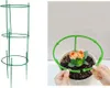 Verk 27049 Kruhová podpěra rostlin 63 x 19 cm zelená Náhled obrázku produktu 3