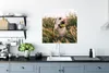 MuchoWow® Poster Labrador Retriever spielt mit einem Produktbild-Vorschau 3