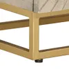 CLORIS Nachttisch 40x30x50 cm Massivholz Mango und Eisen Produktbild-Vorschau 8