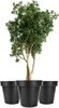 BigDean 3X Blumentopf XXL ø60 cm Classic anthrazit - mit Produktbild-Vorschau 1