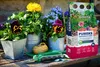 Vulkanischer Blähton - 5l - Natur - Luftdurchlässig - Ideal Produktbild-Vorschau 6