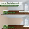 Wandfarbe Beige Braun Creme Matt Innenfarbe – Deckkraft Produktbild-Vorschau 6