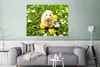 MuchoWow® Poster Hamster zwischen Blumen 120x90 cm - Produktbild-Vorschau 5