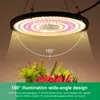 A grow light illuminating a collection of artificial plants. Produktbild-Vorschau